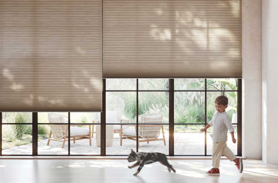 applause honeycomb shade with child dog cordless charlotte nc