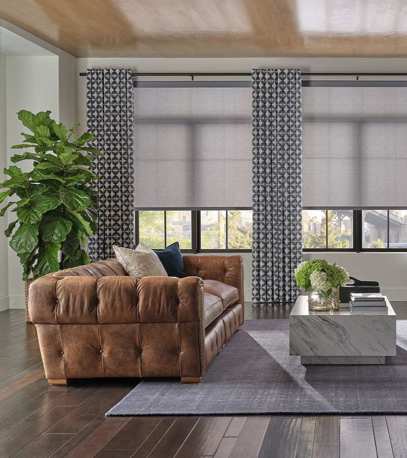 Designer Roller Shades in modern Charlotte home with black grid windows