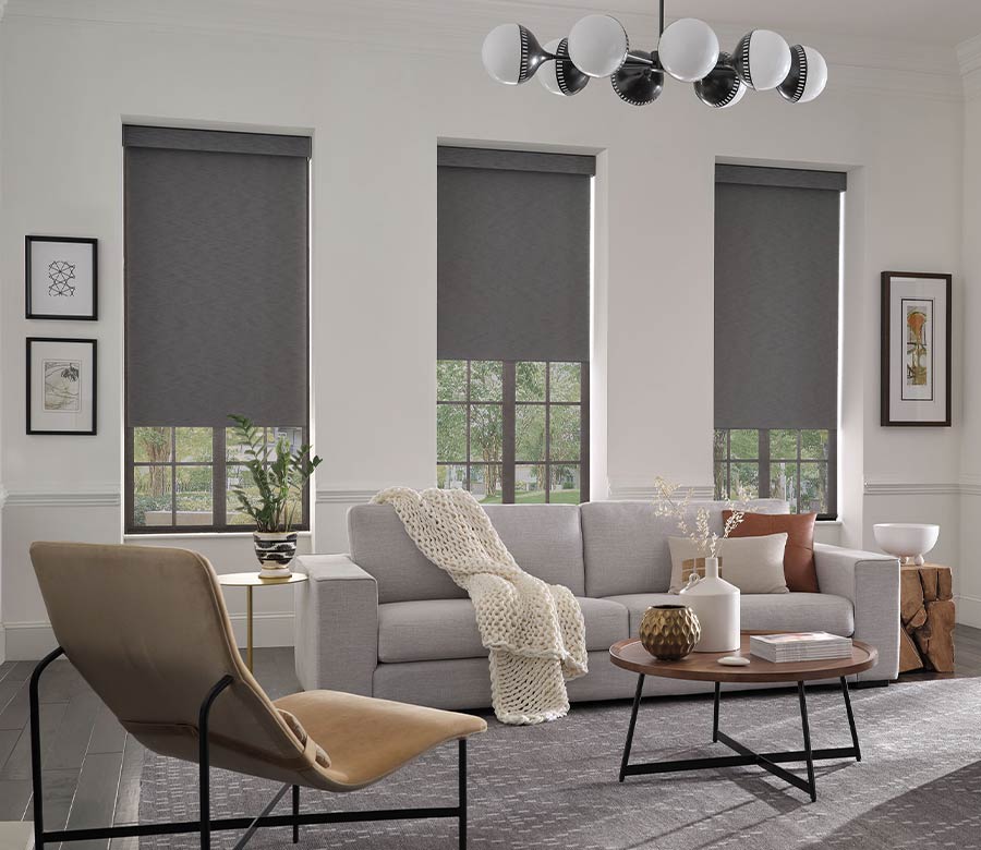 dual roller shades on living room windows in Charlotte NC home