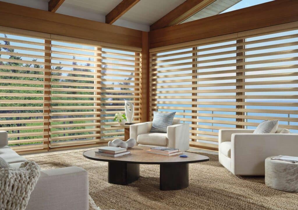Pirouette shades filtering natural light across floor-to-ceiling living room windows in a North Carolina home