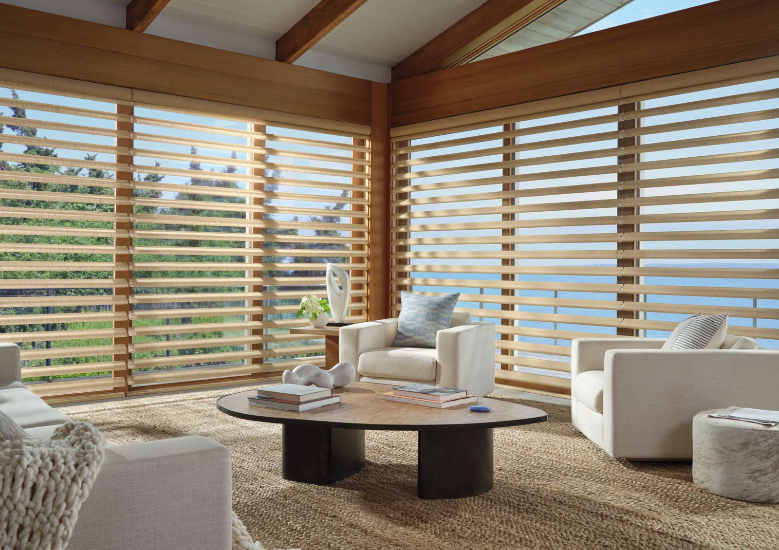 Hunter Douglas Pirouette shades diffusing natural light in living room of North Carolina home