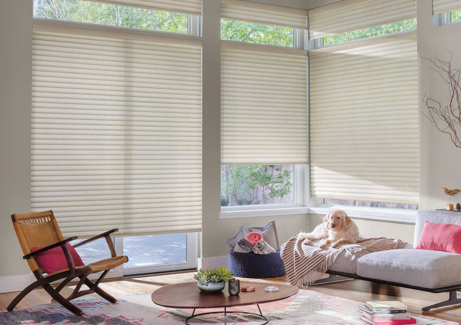 Motorized Sonnette® cellular roller shades covering large living room windows with soft natural light
